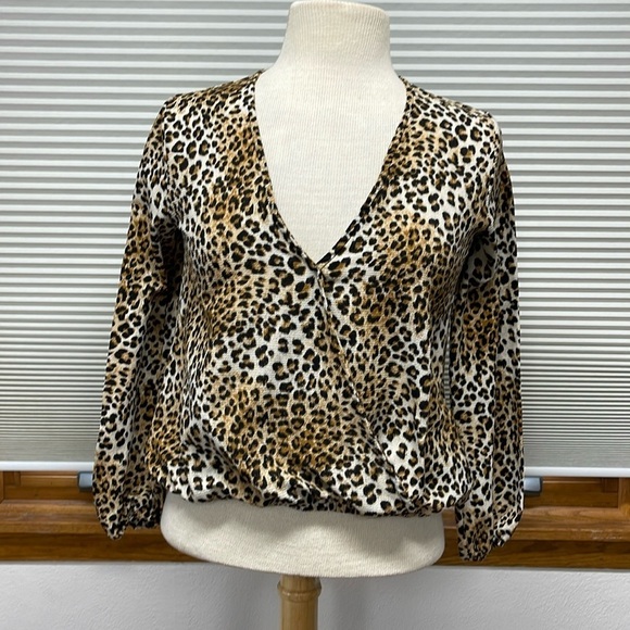 Sadie & Sage Cheetah Leopard Print Surplice V-Neck Long Sleeve Top - Picture 1 of 7